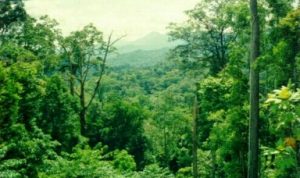 images (7)-768x463-384x232