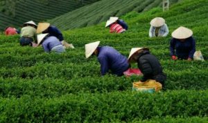 unnamed-768x463-384x232