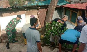 IMG-20200809-WA0008_compress68