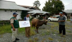 IMG-20210720-WA0002_resize_82_compress32