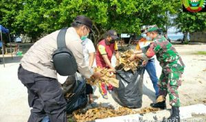 IMG-20210911-WA0016_resize_42_compress43