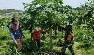 IMG_20210901_161017_resize_96_compress16